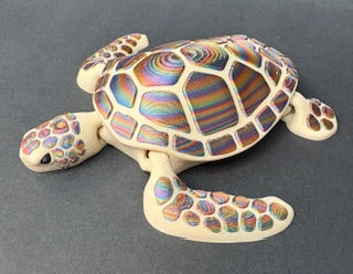 Rainbow Sea Turtle